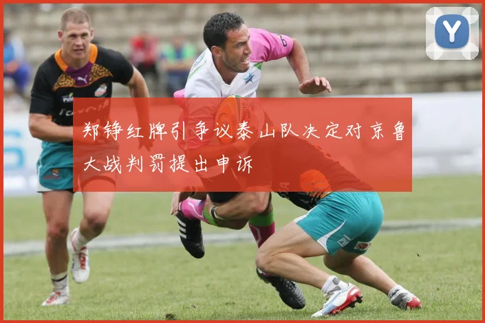 郑铮红牌引争议泰山队决定对京鲁大战判罚提出申诉